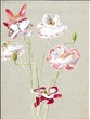 Small tulpen malkunst aquarelle
